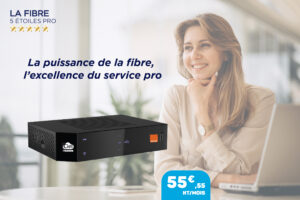 Portrait of a business woman working on laptop